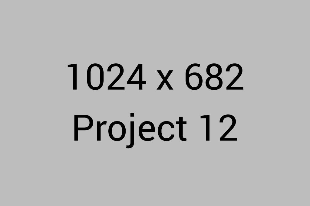 project12