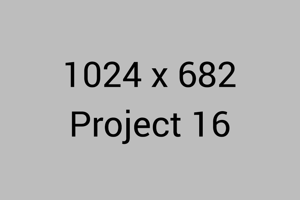 project16